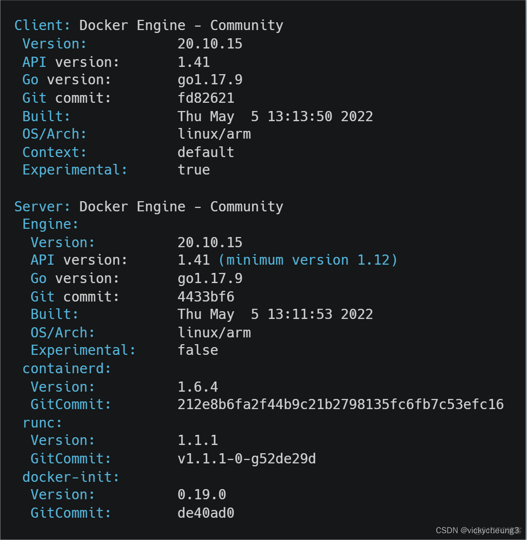如何在Debian 10上安装Docker？_docker
