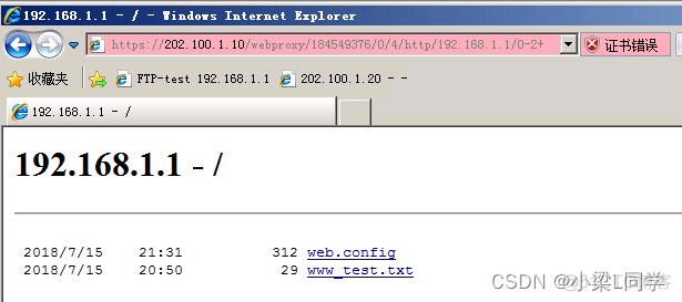 HCIE-Security Day43：SSL 虚拟私有网络技术_网络安全_39