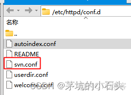 LINUX（centos）SVN配置HTTP访问_配置文件