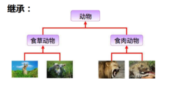 [Java基础] 面向对象的三大特征_多态