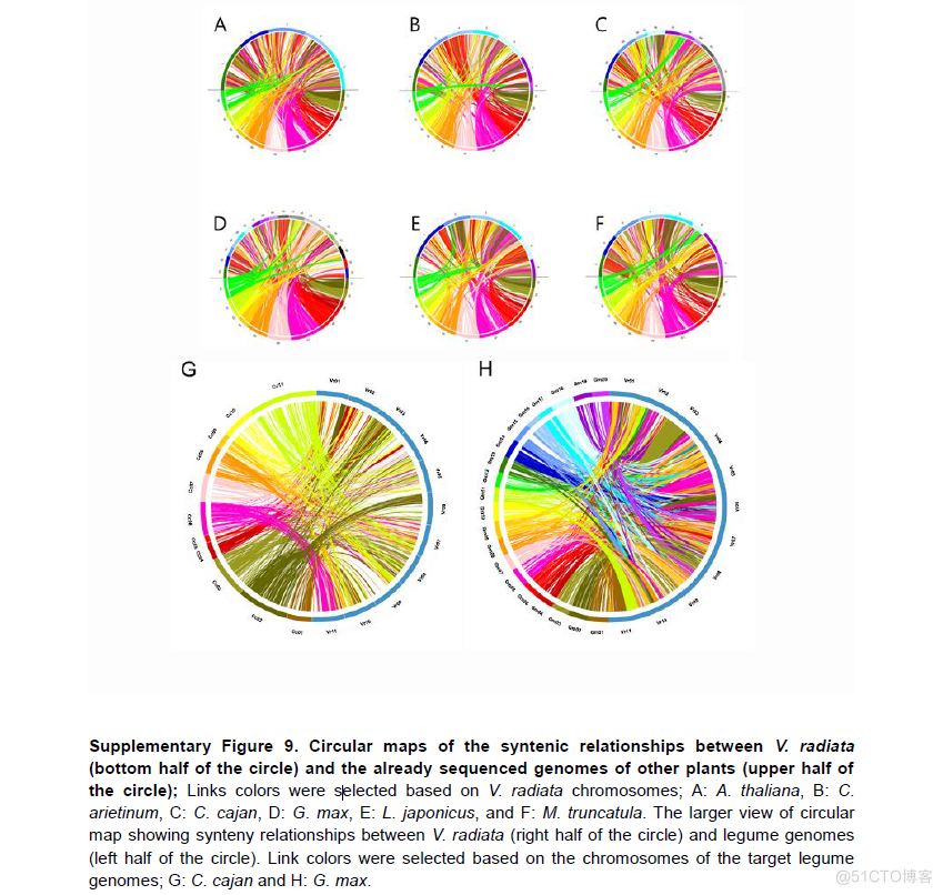 【豆科基因组】绿豆Mungbean, Vigna radiata基因组2014NC_默认参数_12