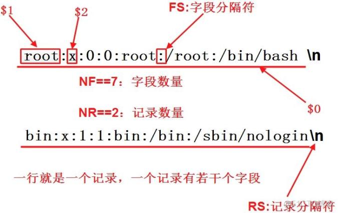 awk文本分析_bash