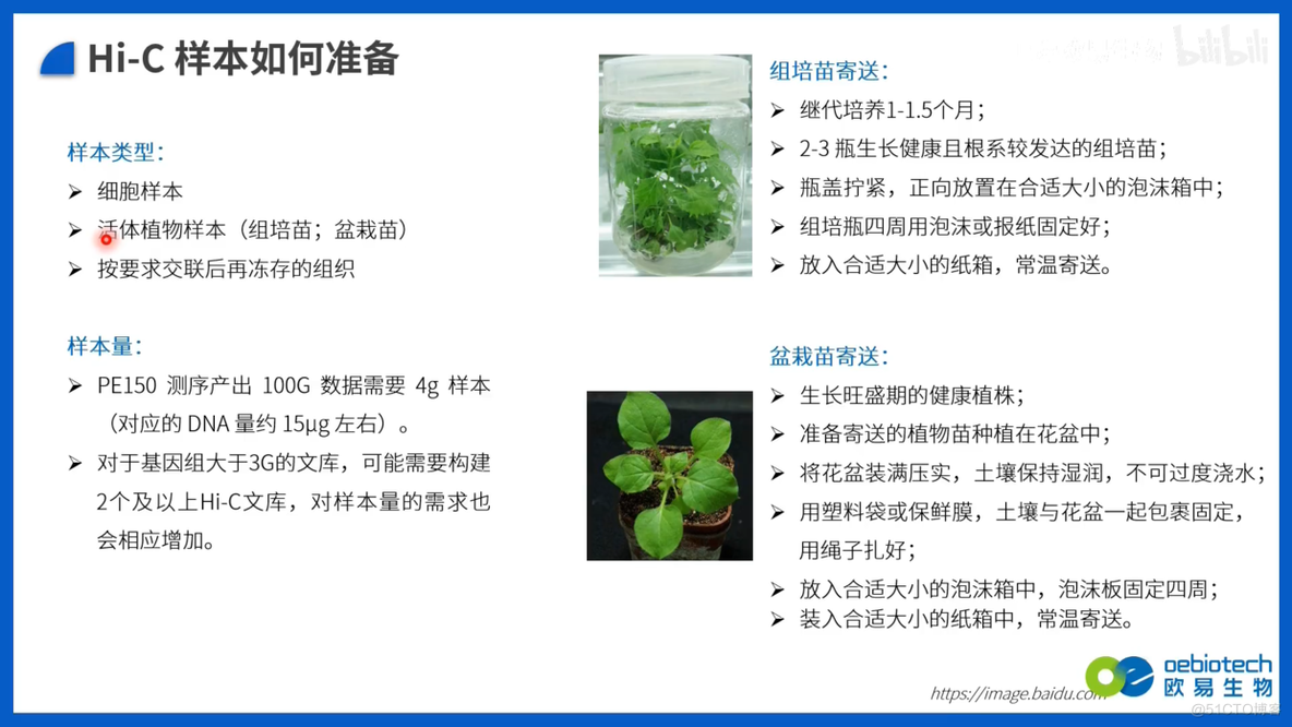 Pacbio三代基因组组装简介_微信公众号_16