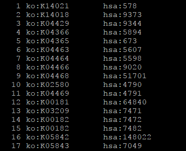 【数据库】本地KEGG数据库如何拆分子库？_数据库_03