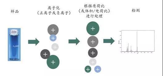 质谱行业介绍_谱分析_03