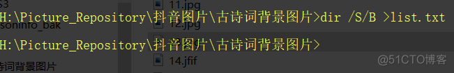 Win10系统下如何在某个特定的文件夹内输出所有文件路径_txt文件_02