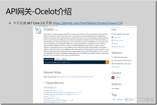 Ocelot API网关的实现剖析_github_03