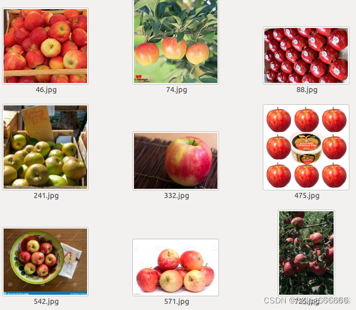 水果数据集(Fruit-Dataset )+水果分类识别训练代码(支持googlenet, resnet, inception_v3, mobilenet_v2)_水果识别_05
