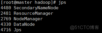 【已解决】Hadoop_03 解决Hadoop输入jps没有NameNode的问题_javascript