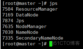 【已解决】Hadoop_03 解决Hadoop输入jps没有NameNode的问题_hadoop_03