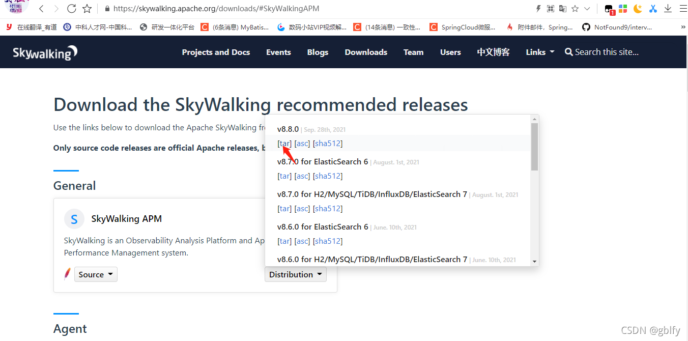 Elasticsearch SkyWalking 分布式链路追踪_elasticsearch_02