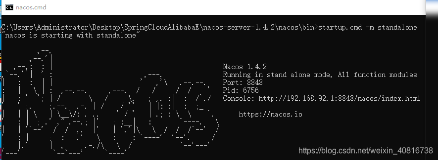 （企业案例）Nacos Config 进阶使用_配置文件_03
