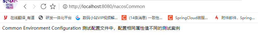 （企业案例）Nacos Config 进阶使用_redis_29