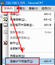 SecureCRT 文件下载上传_SecureCRT_07