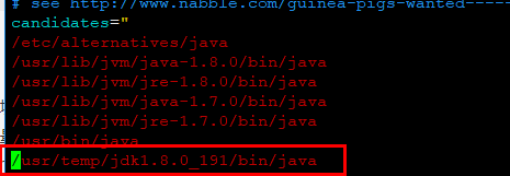 Job for jenkins.service failed because the control process exited with error code. See_java_03