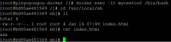 Docker实战(精简版本)_nginx_28