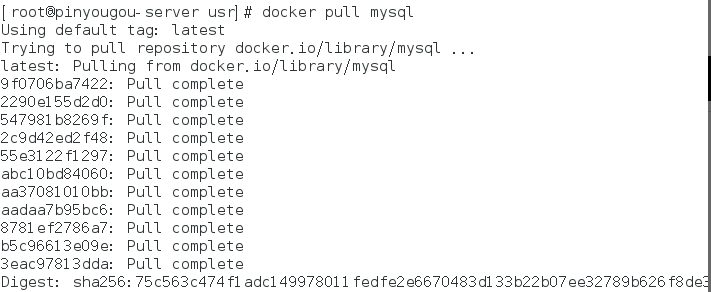 Docker实战(精简版本)_centos_41