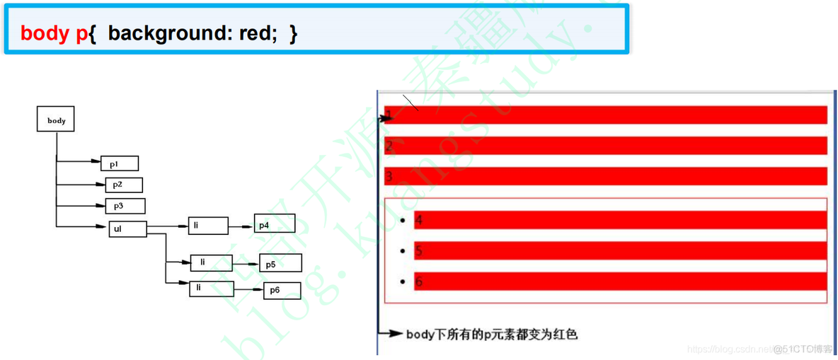 前端学习记录 Day2（CSS）_前端_06