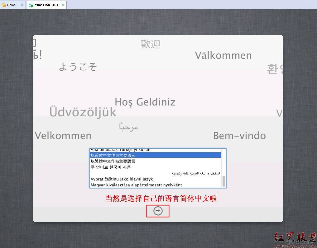 VMware 8安装苹果操作系统Mac OS X 10.7 Lion正式版_操作系统_26