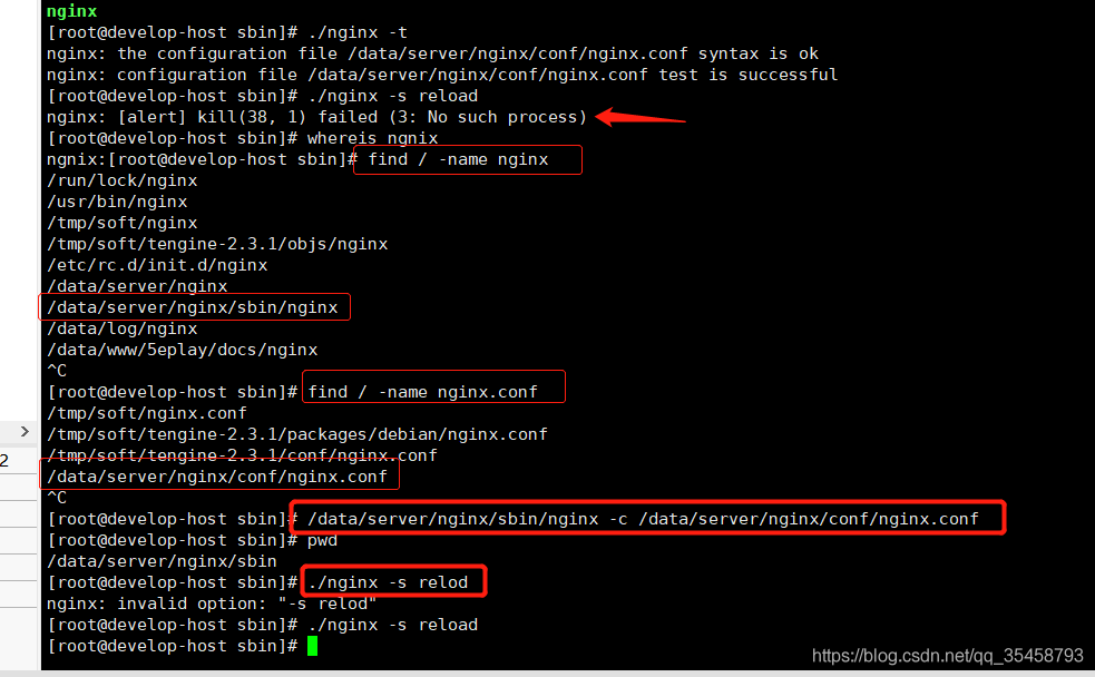 nginx-alert-kill-38-1-failed-3-no-such-process-13390164