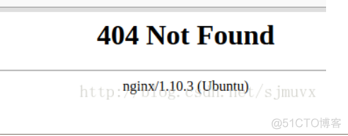 nginx服务器访问404_报错信息