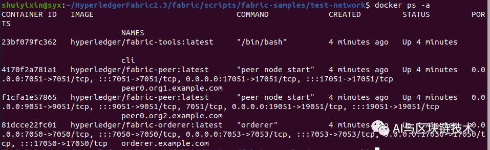 区块链 | Hyperledger Fabric 03 超详细图解——通过Fabric测试网络深入理解联盟链_区块链_11