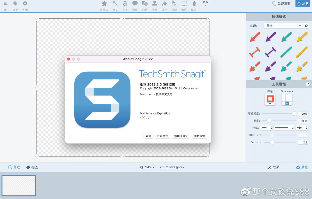 Snagit for mac(屏幕截图工具)_截图软件