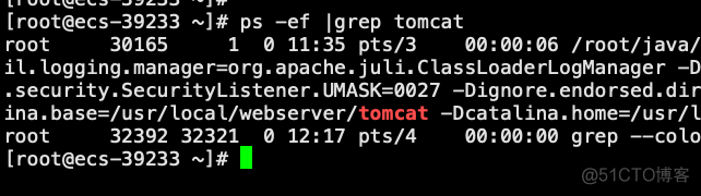 一、linux部署多个tomcat_apache_04