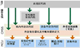 [CortexM--CMSIS]详细的说明