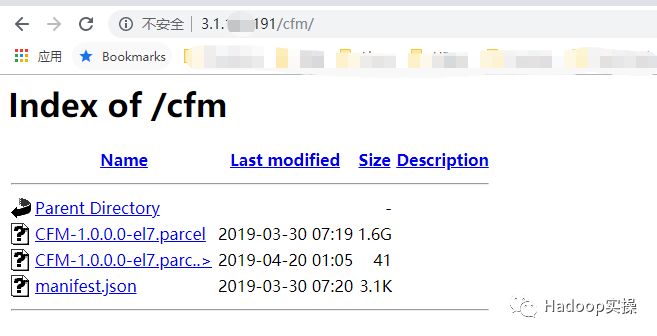 0623-6.2.0-如何在CDH中安装CFM_jar_06