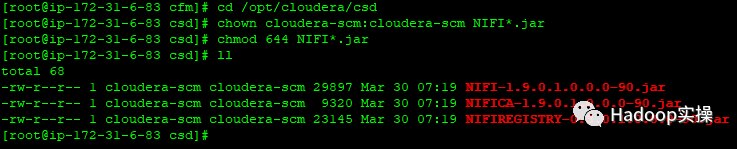 0623-6.2.0-如何在CDH中安装CFM_java_07