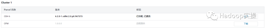 0623-6.2.0-如何在CDH中安装CFM_cloudera_10