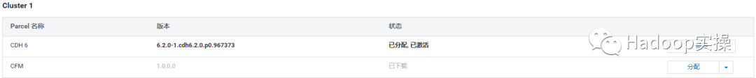 0623-6.2.0-如何在CDH中安装CFM_java_11