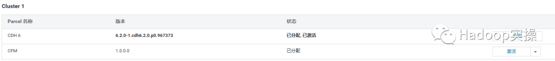 0623-6.2.0-如何在CDH中安装CFM_jar_12