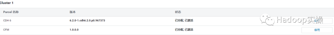 0623-6.2.0-如何在CDH中安装CFM_jar_14