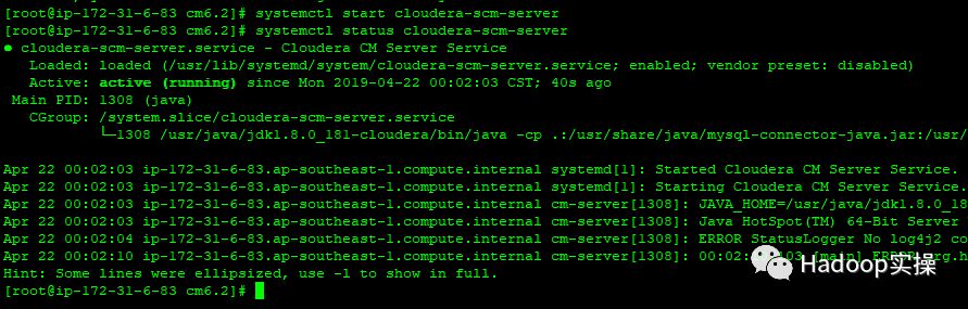 0610-6.2.0-如何在Redhat7.4安装CDH6.2_java_38