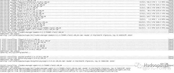 0549-6.1-如何在SUSE12 SP3安装CDH6.1_java_12