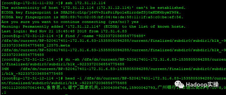 0460-HDFS纠删码的机架感知_数据_11