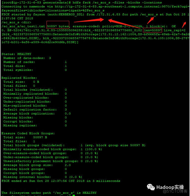 如何在CDH6.0中使用纠删码_原始数据_19