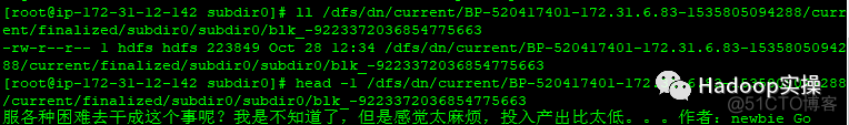 如何在CDH6.0中使用纠删码_hdfs_24