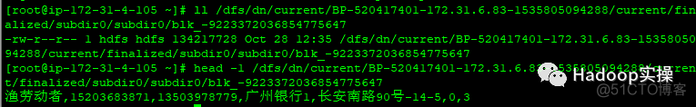 如何在CDH6.0中使用纠删码_hdfs_29