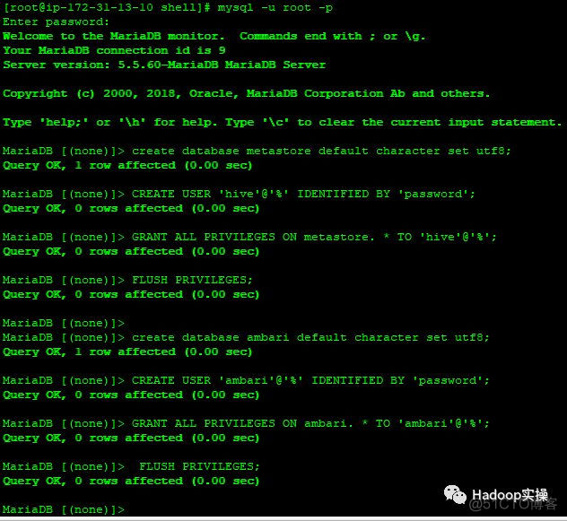 如何在Redhat7.4安装HDP3.0.1_ambari_19