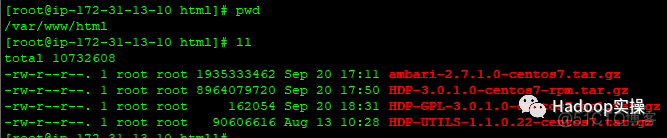如何在Redhat7.4安装HDP3.0.1_ambari_21