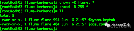 如何在Kerberos环境下使用Flume采集Kafka数据写入HBase_kafka_11