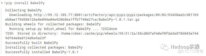 如何在CDSW中定制Docker镜像_依赖包_25