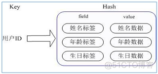 Redis 五大数据类型（二）_redis_03