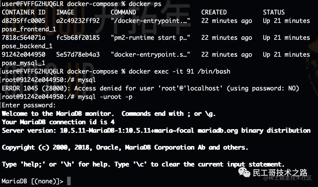 使用 Docker-compose 一键打包部署项目！真心不错啊_mysql_06