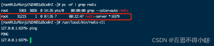 Spring Boot整合 NoSQL 数据库 Redis_redis_08