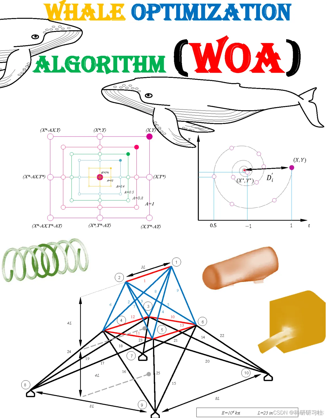 鲸鱼优化算法（Matlab代码实现）_泡网
