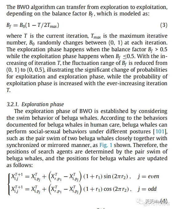 【智能优化算法-白鲸算法】基于白鲸优化算法求解多目标优化问题附matlab代码_优化问题_02